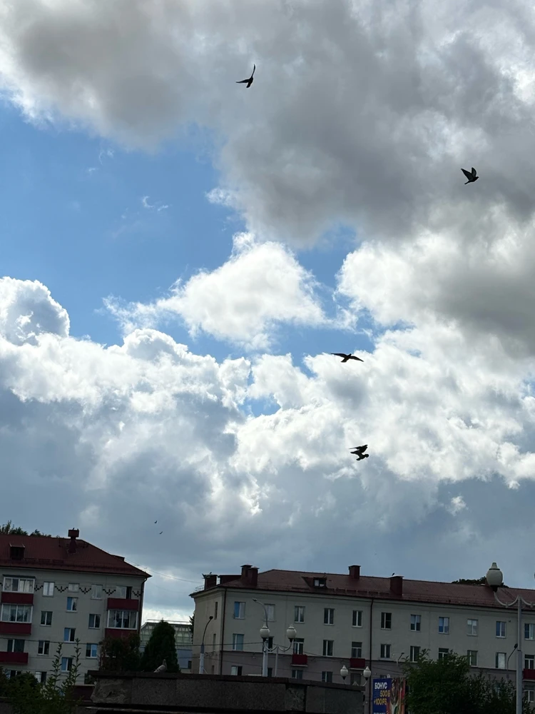 GIF uploaded by Olya