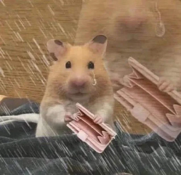 Jaja上傳的圖片