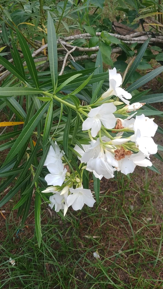 Jann上傳的圖片