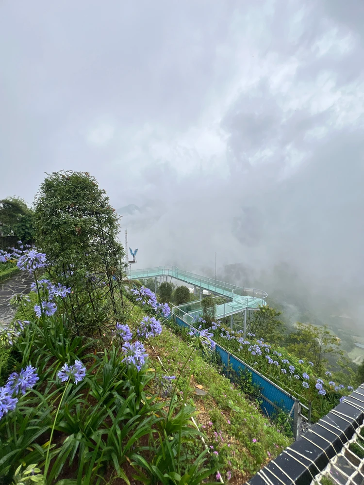 Image uploaded by One g