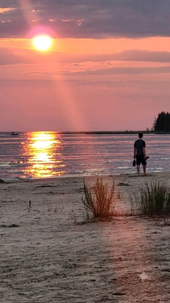 GIF augšupielādēja Kamran