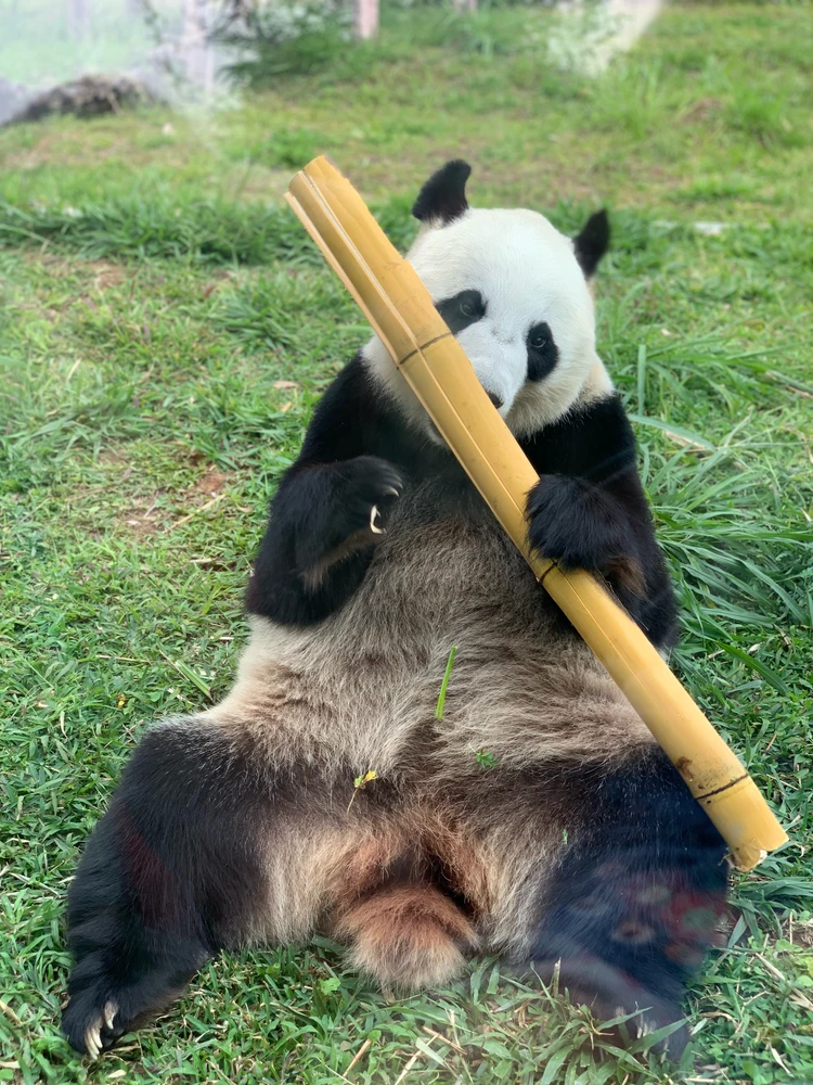Image uploaded by DeepBlueSea