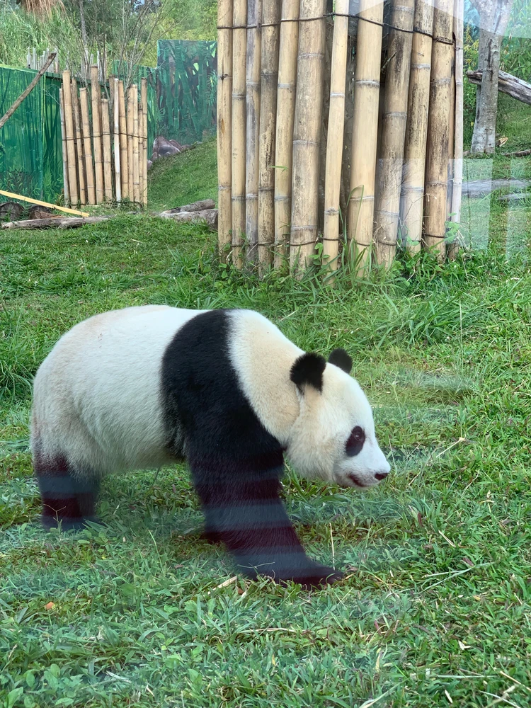 Image uploaded by DeepBlueSea