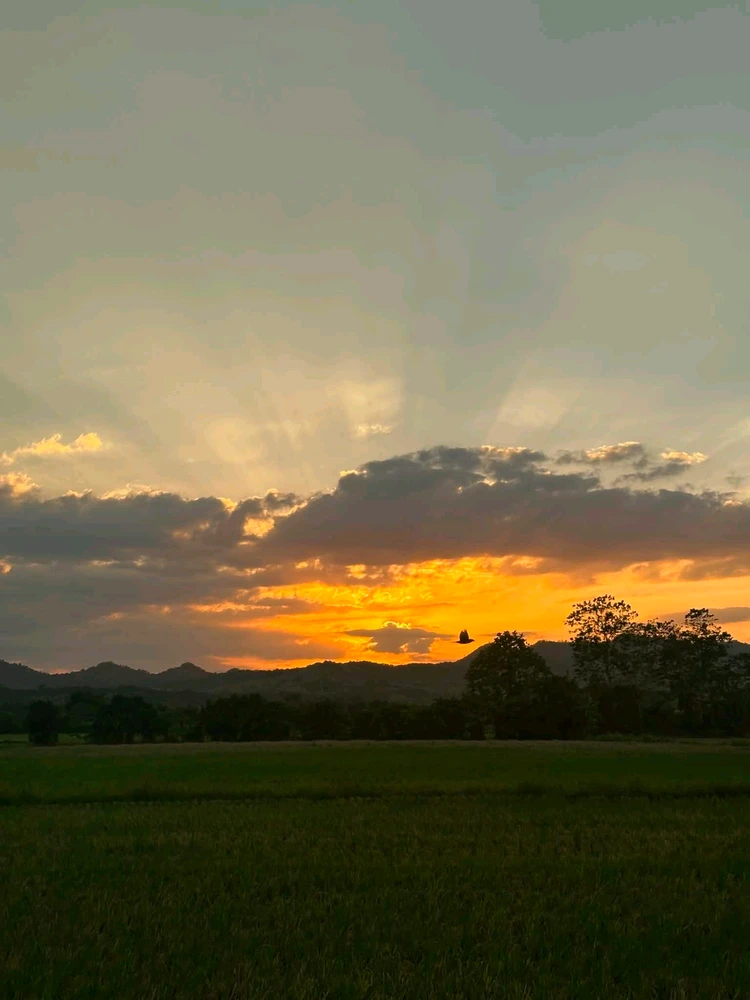 SM അപ്‌ലോഡ് ചെയ്ത ചിത്രം