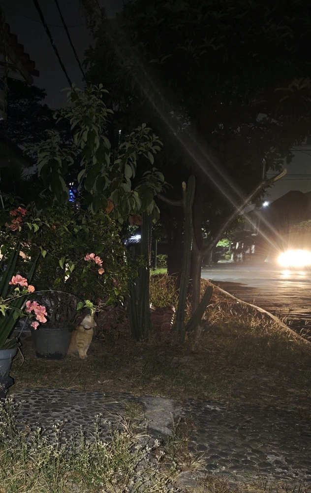 GIF subido por Esti