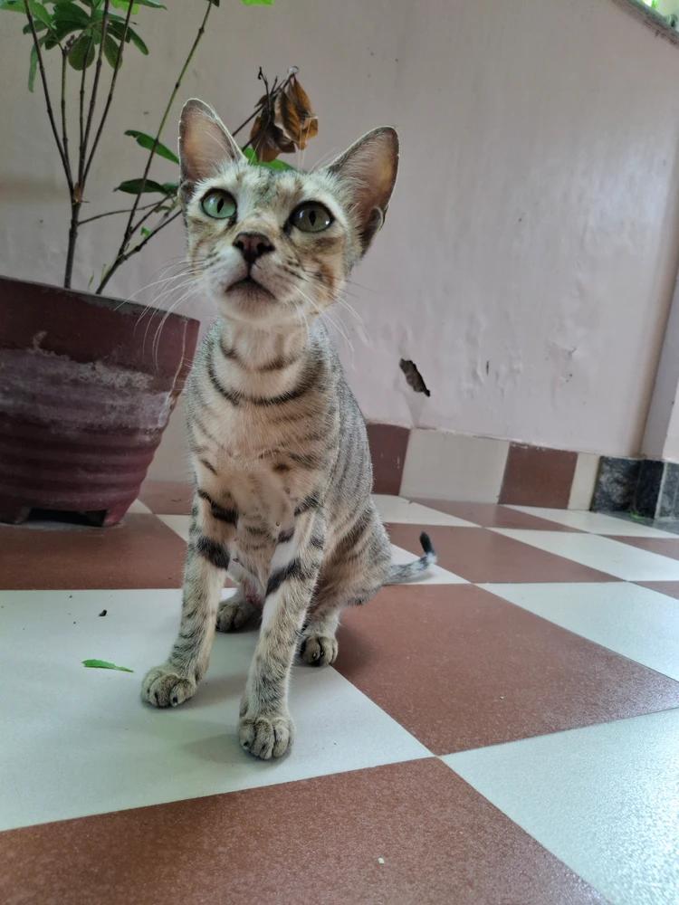 Sagar上傳的圖片