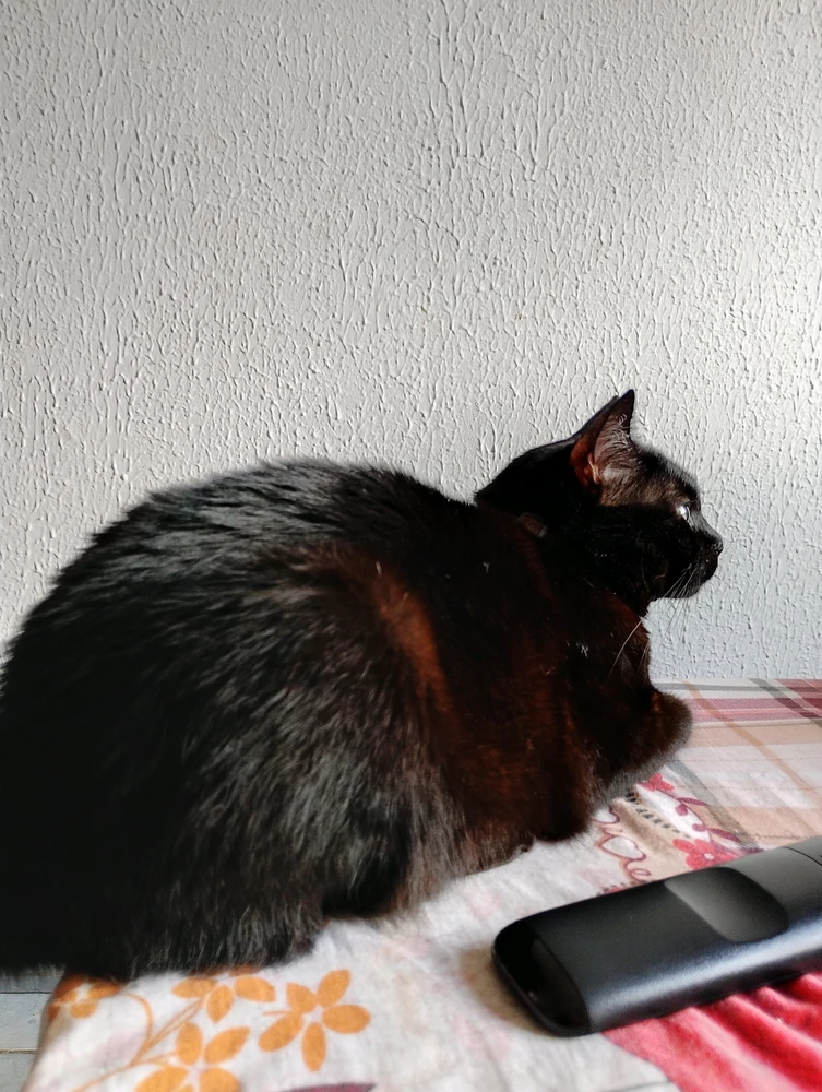 GIF uploaded by Nivea