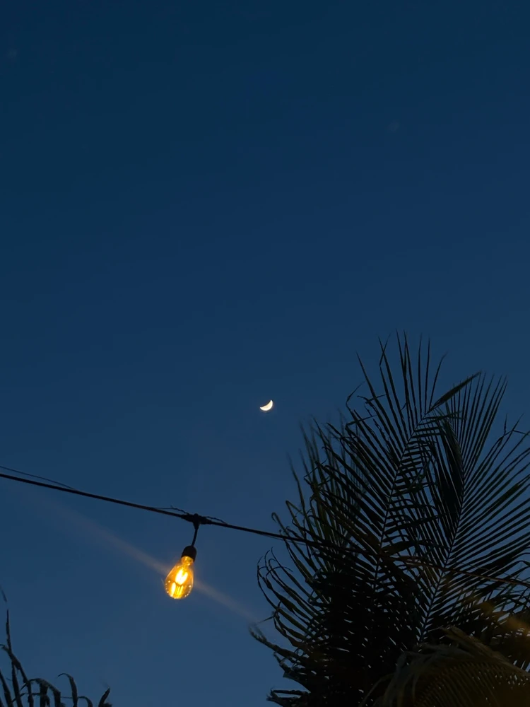 Image uploaded by Zef