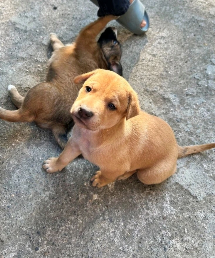 GIF uploaded by S