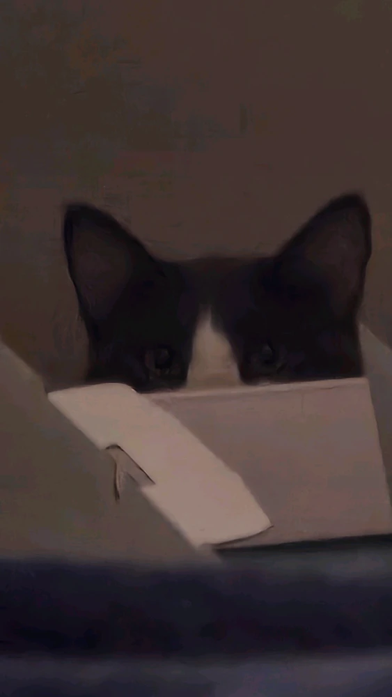 Kody 上傳的 GIF