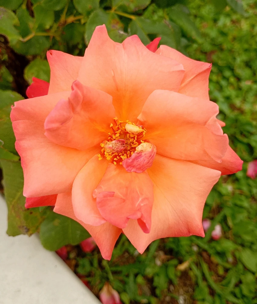 GIF uploaded by Samuel