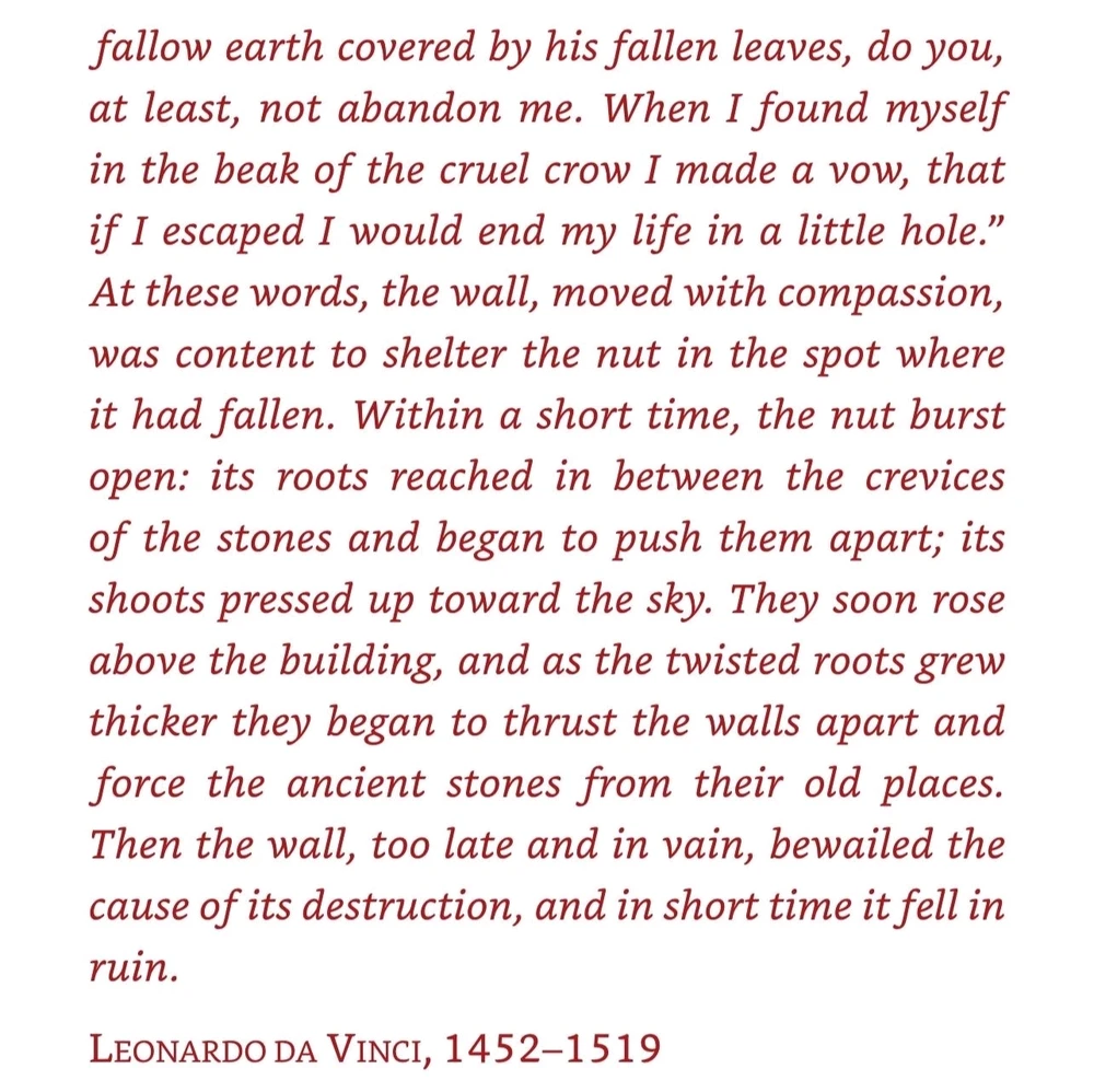 由A༗🂡🃏⏳上传的图片