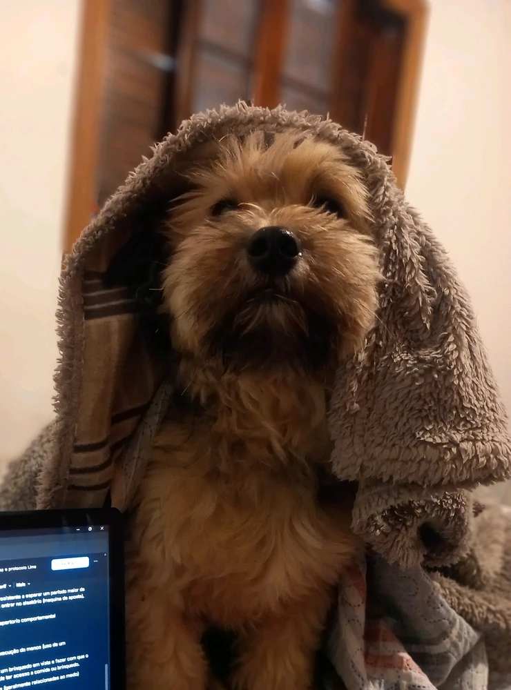 GIF uploaded by Kauan