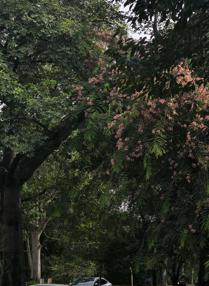 GIF uploaded by DEEPAK