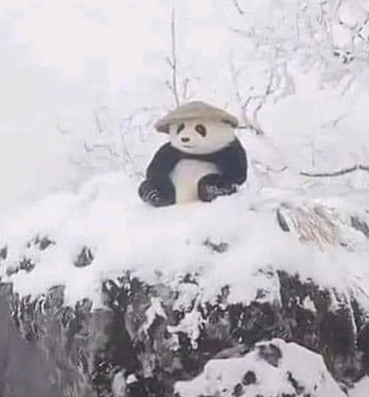 GIF yakaiswa naJarred