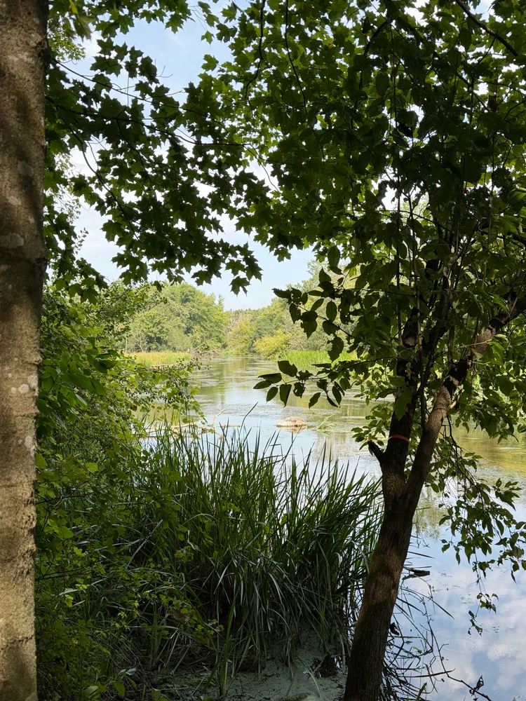 Bild hochgeladen von Robbie
