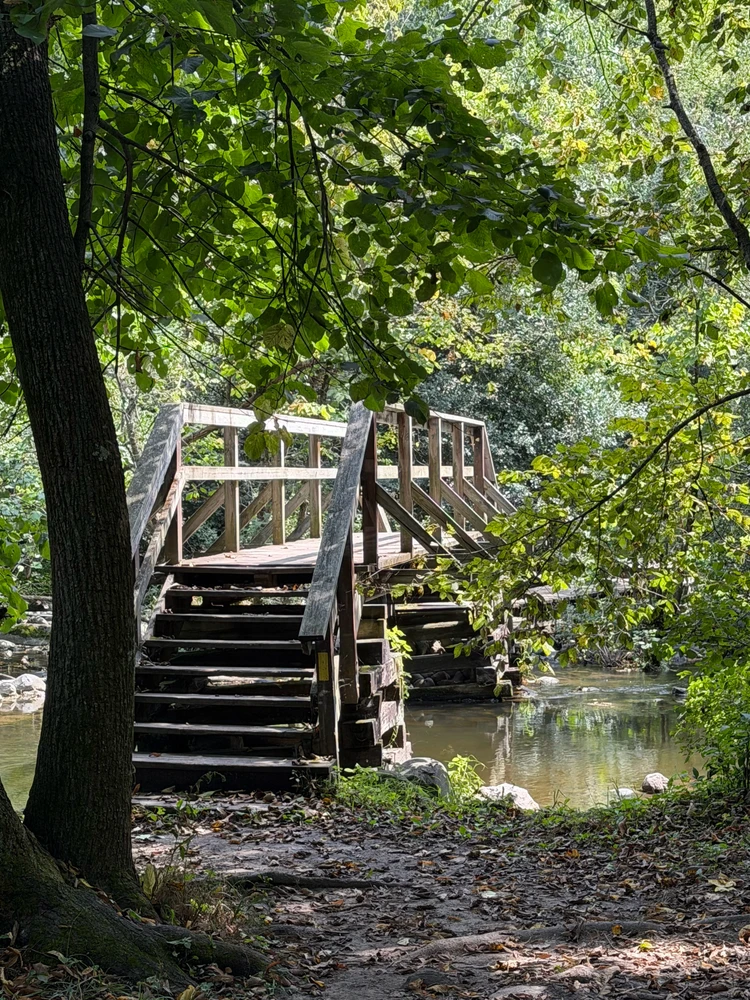 Bild hochgeladen von Robbie