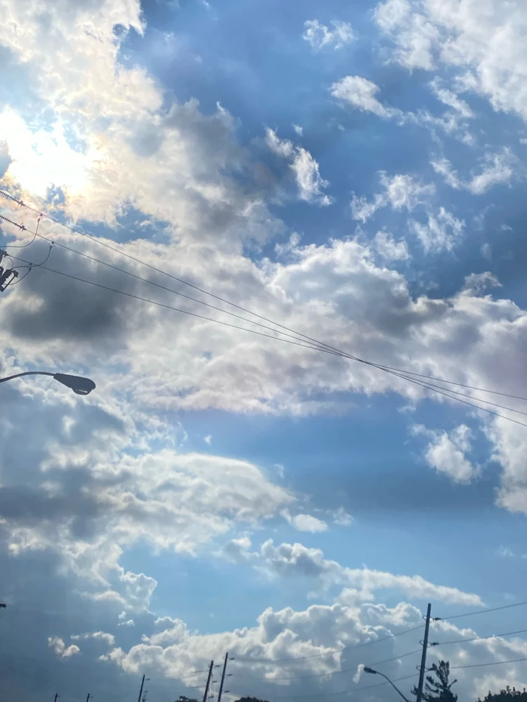 Audrey 上傳的 GIF