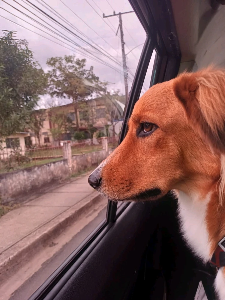 GIF uploaded by Edwin