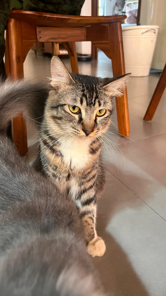 Ola 上傳的 GIF