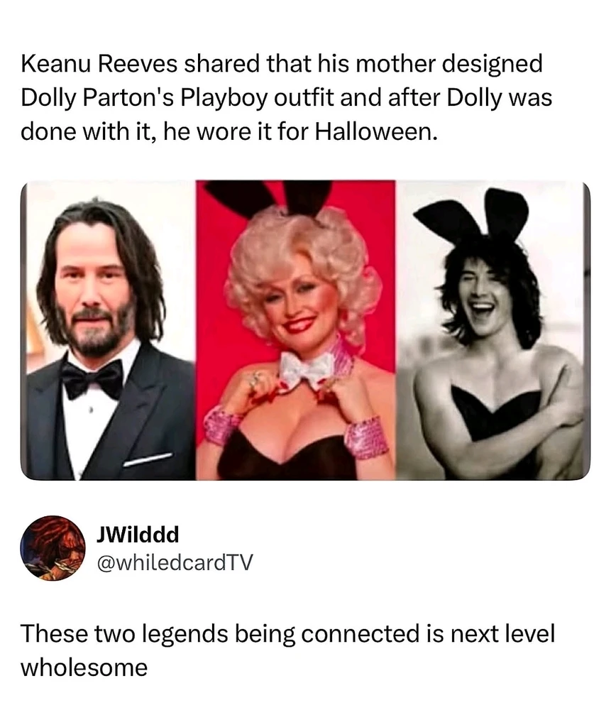 GIF uploaded by Osthexe