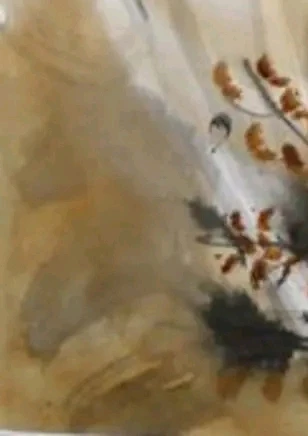 GIF uploaded by Miko
