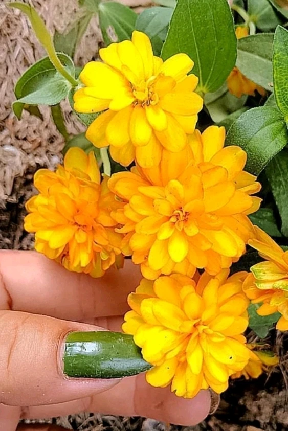 Image uploaded by Love