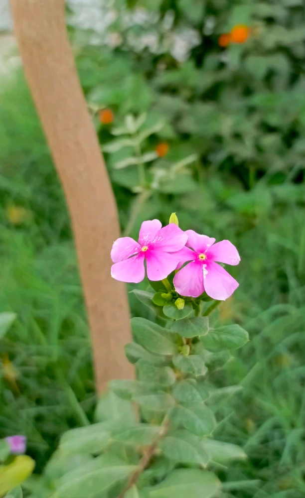 GIF uploaded by 𝑨𝒏𝒆𝒆𝒍..