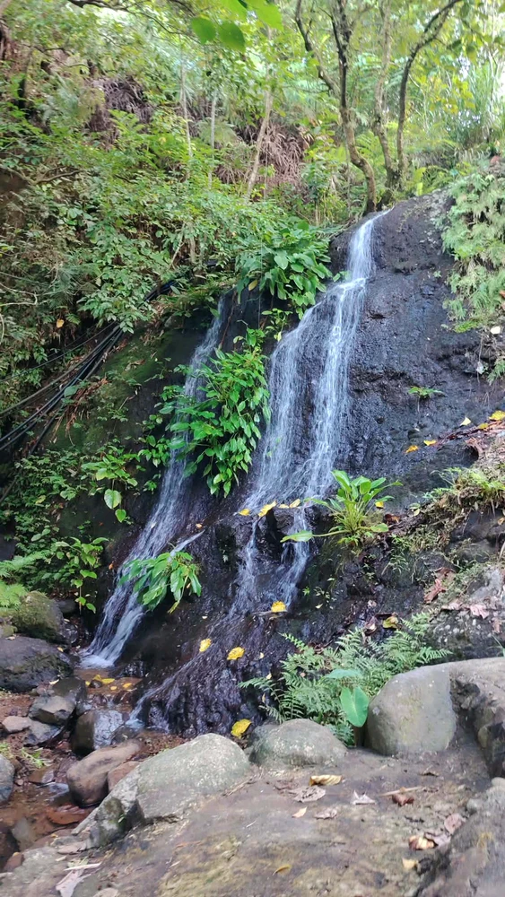 GIF uploaded by Summer