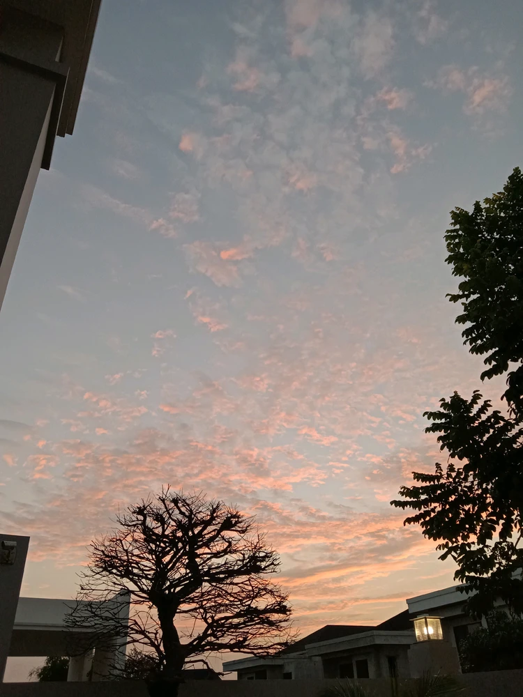 Dinda上传的GIF