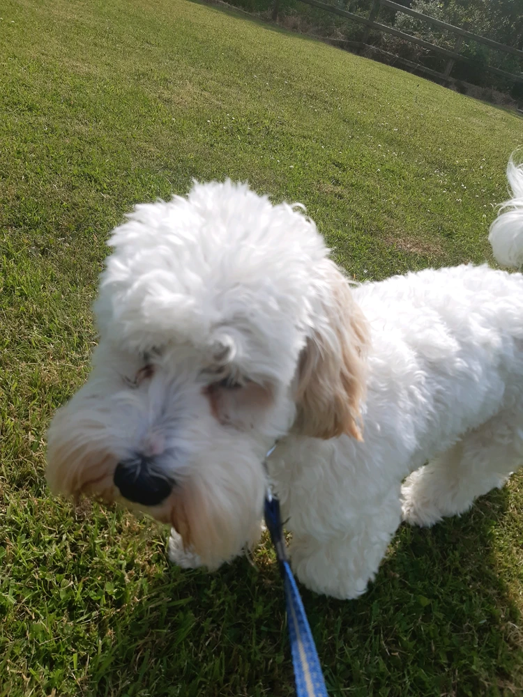Image uploaded by Ran