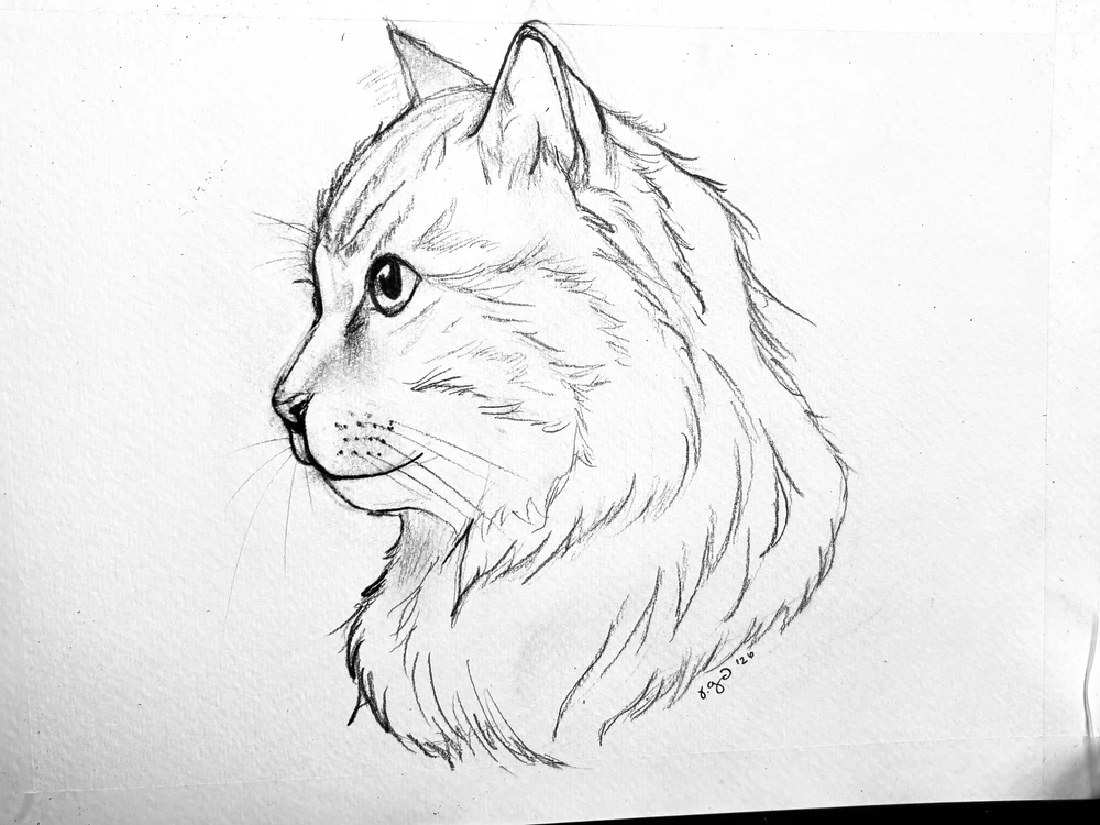 GIF uploaded by Mia