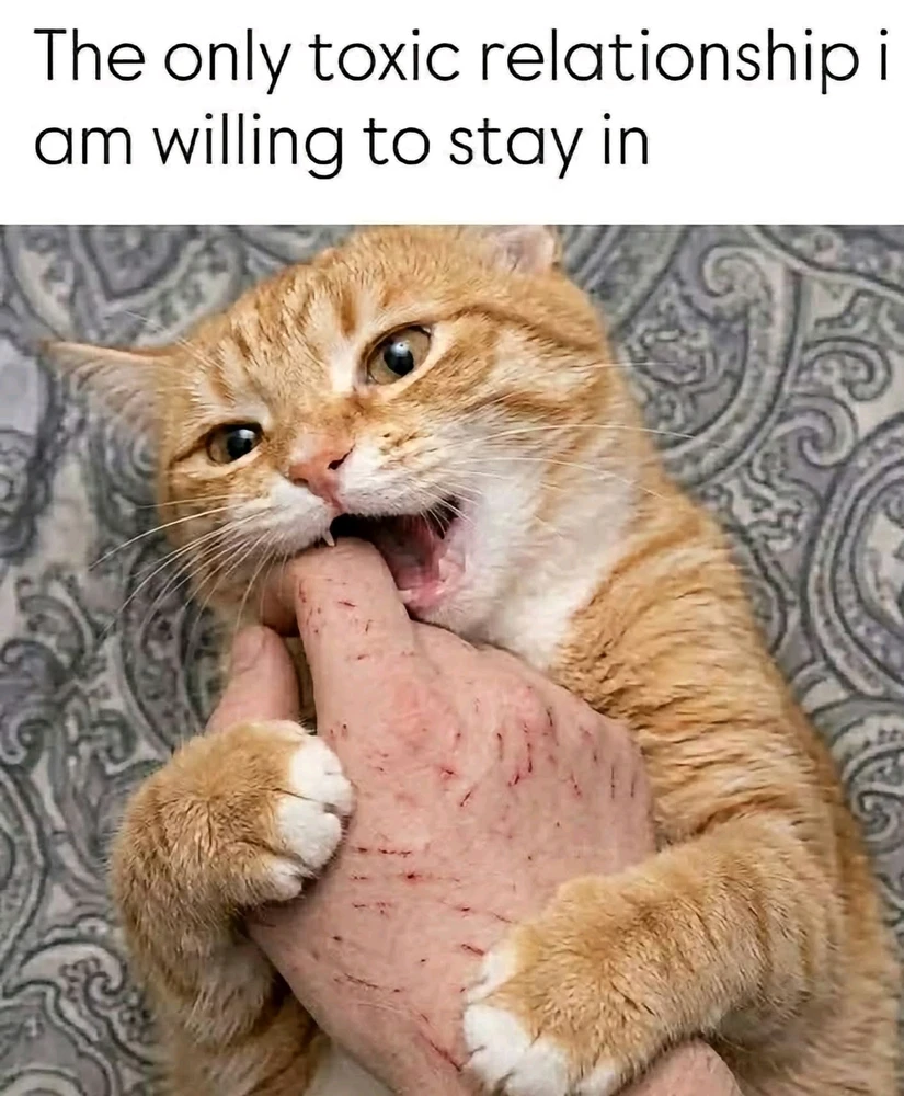 GIF tí Pho Qing Mei Taji 🤣 gbé sókè