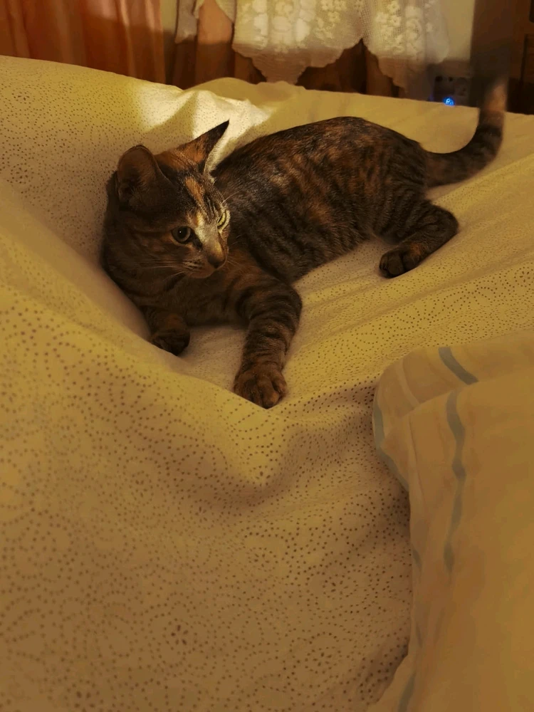 GIF uploaded by Leonor