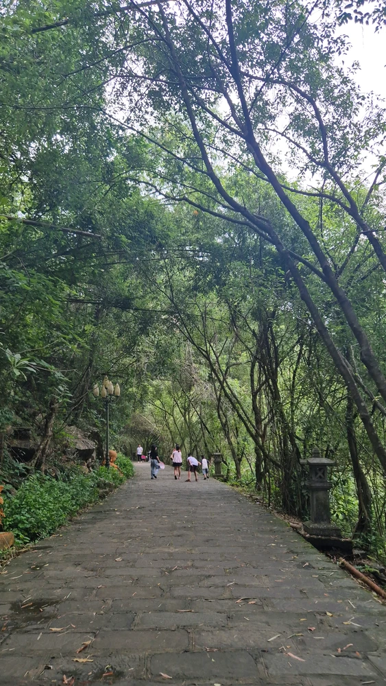 Thảo上傳的圖片