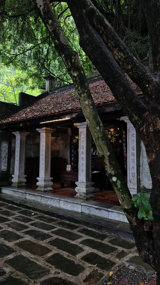 Thảo上傳的圖片