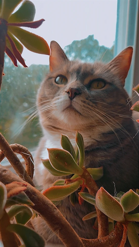 GIF uploaded by A