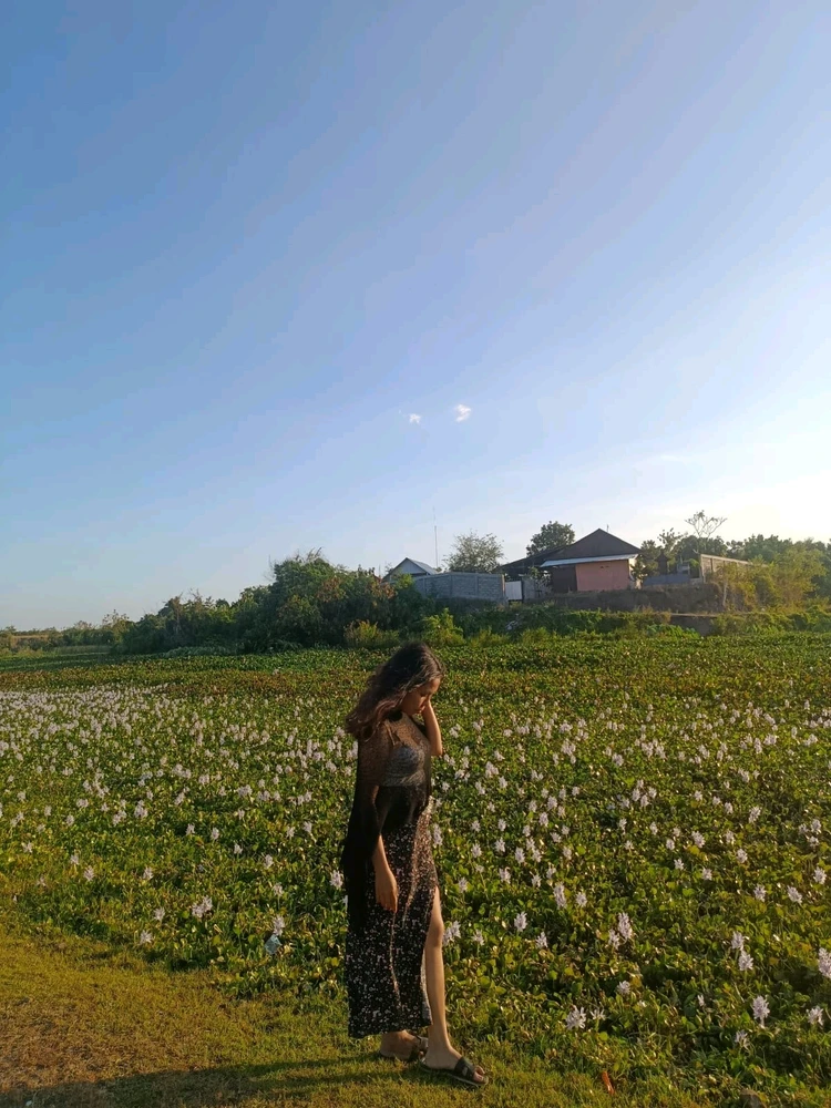Bild eropgeluede vum Anee
