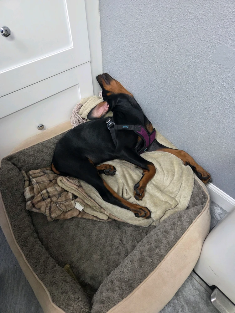 GIF uploaded by Caitlyn