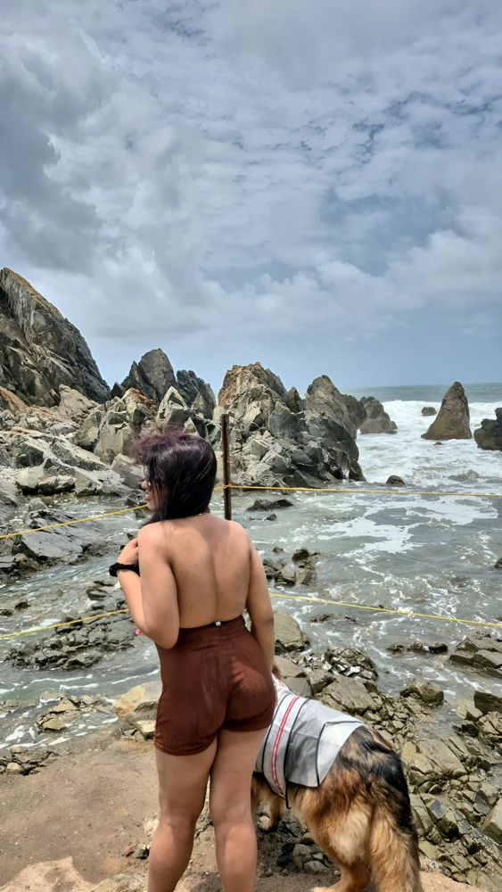 GIF được Amy tải lên