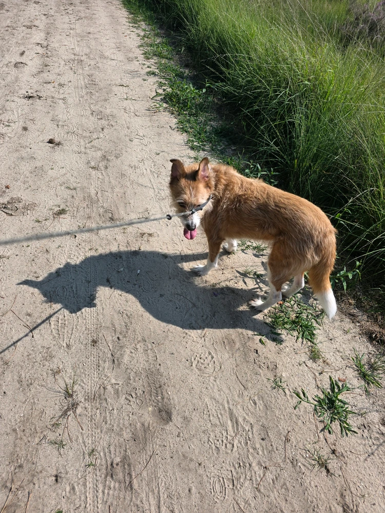 Image uploaded by Joshua