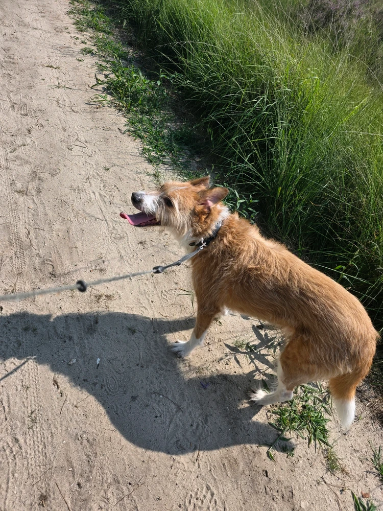 Image uploaded by Joshua