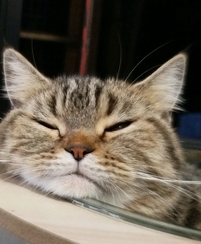 Kitt上传的GIF
