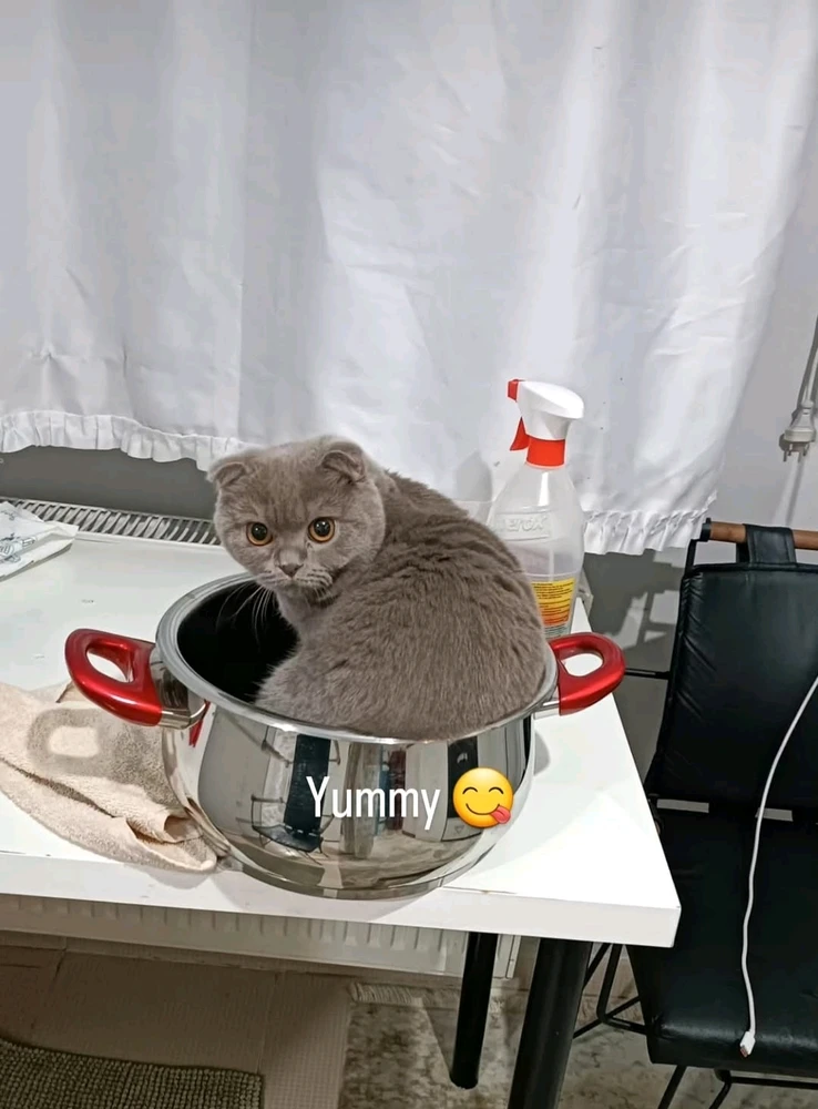 Emre 上傳的 GIF