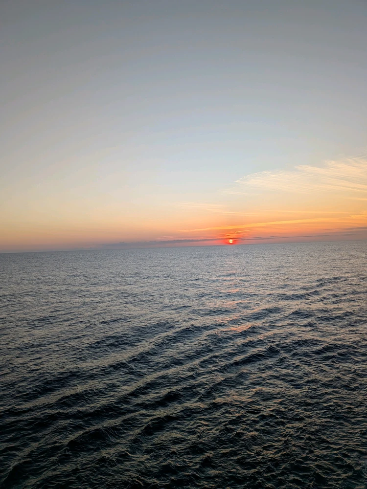 GIF uploaded by Eli