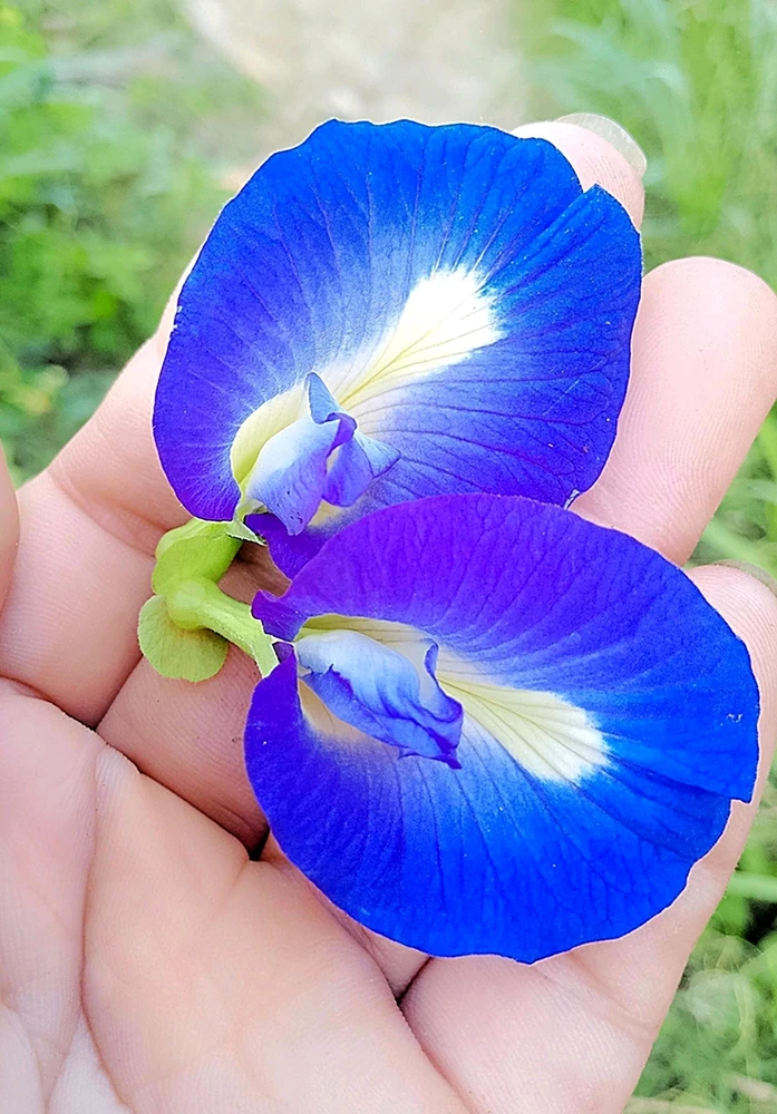 由Love上传的图片