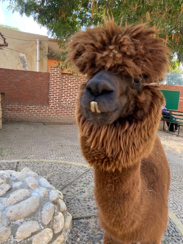 GIF uploaded by Fares