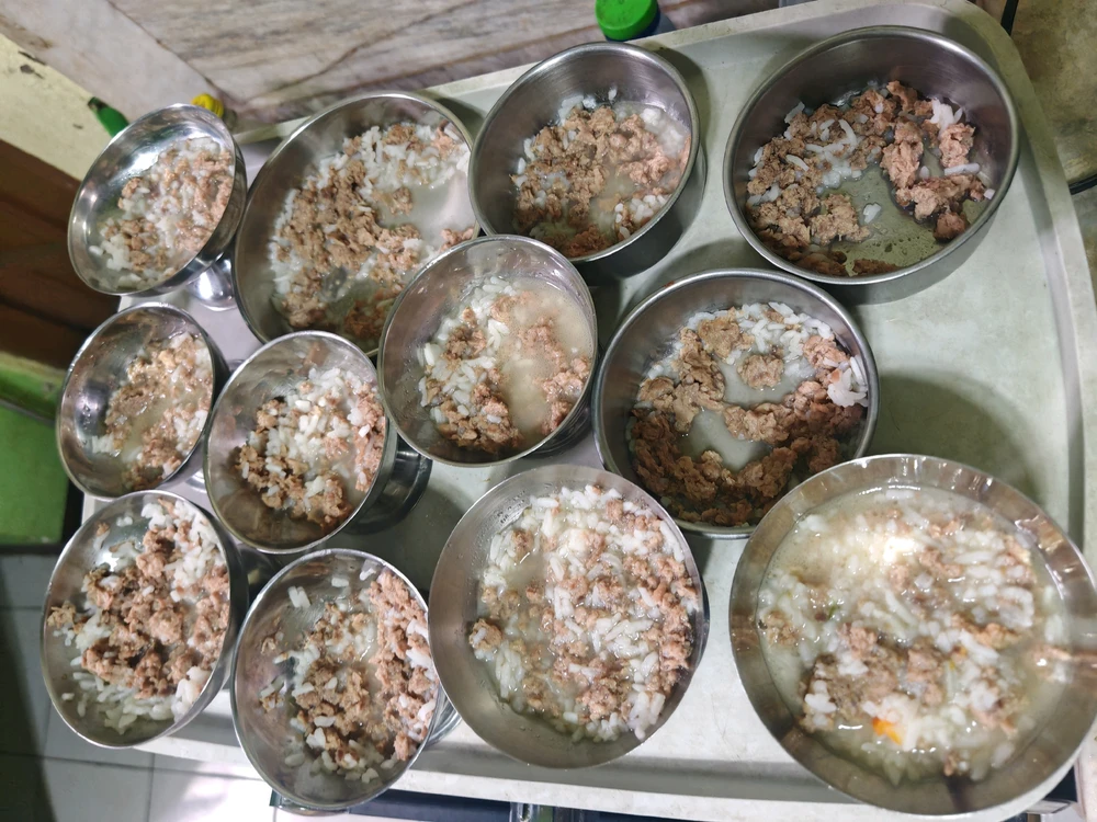 由KYO上传的图片