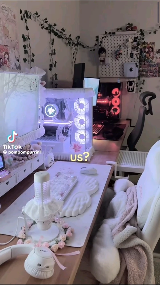 Sofia上传的GIF