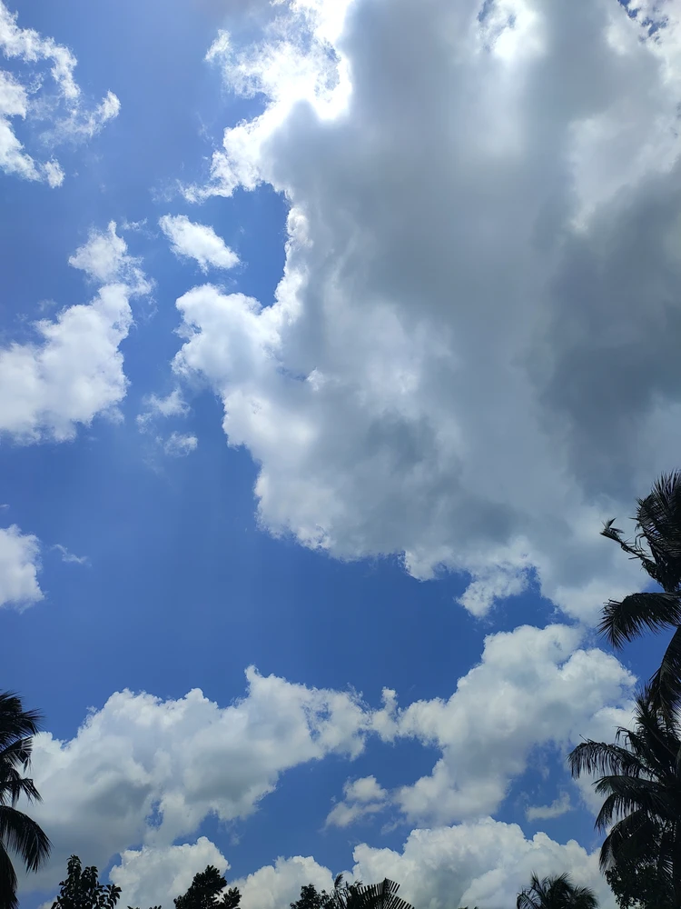Anish жүктөгөн GIF